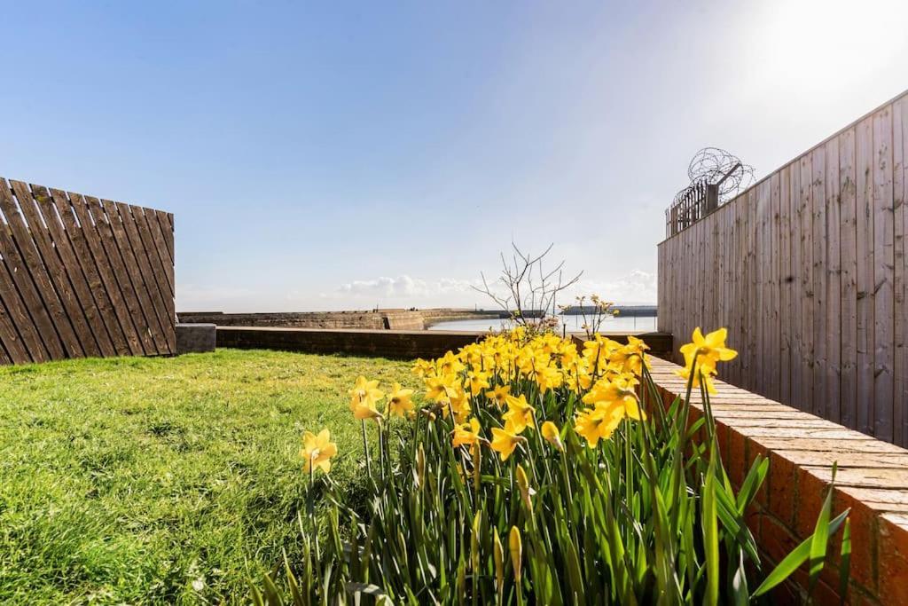Stunning Ground Floor Hartlepool Marina Apartment Exterior foto